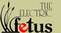 logo of Electric Fetus