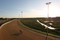 Picture of Running Aces Harness Park and Card Room