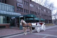 Picture of The Hitching Company