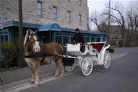 Picture of The Hitching Company